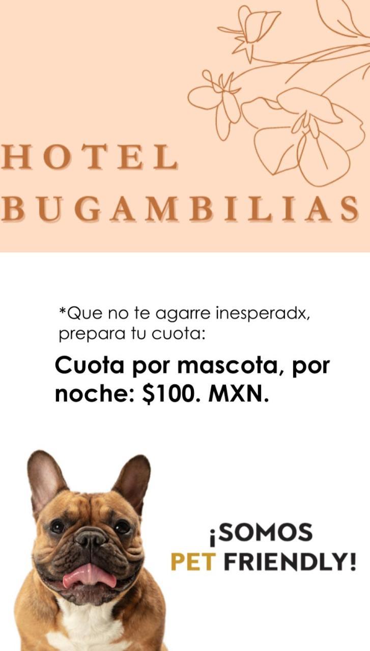 Hotel Bugambilias Oaxaca Екстериор снимка